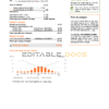 USA New York PSEG utility bill, Word and PDF template, 5 pages
