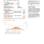 USA New York PSEG utility bill, Word and PDF template, 5 pages
