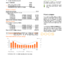 USA New York PSEG utility bill, Word and PDF template, 5 pages
