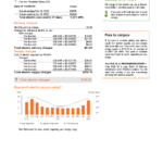 USA New York PSEG utility bill, Word and PDF template, 5 pages