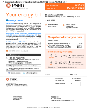 USA Editable Templates 10 USA New York PSEG utility bill, Word and PDF template, 5 pages