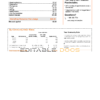 USA New York PSEG utility bill, Word and PDF template, 5 pages