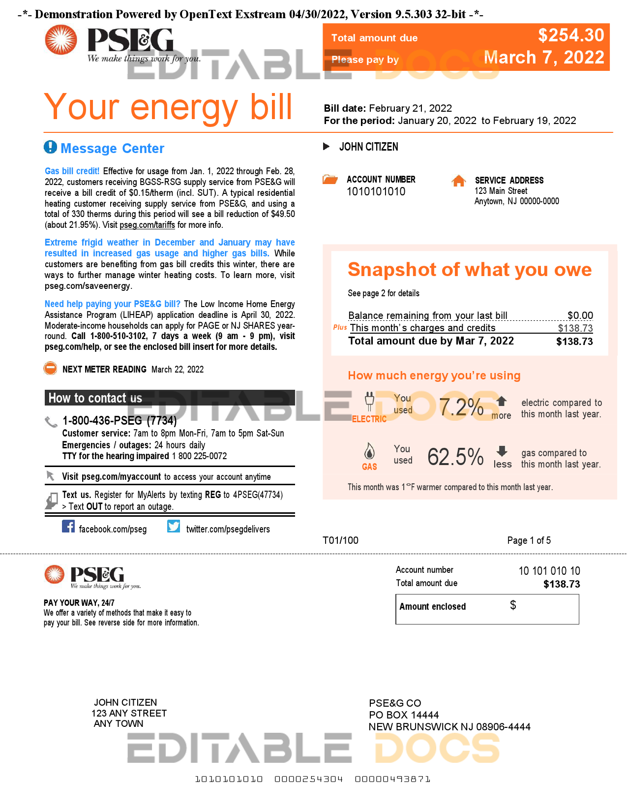 USA New York PSEG utility bill, Word and PDF template, 5 pages