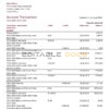 USA North Carolina BB&T Corp. bank statement template in Word and PDF format