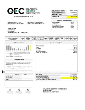 USA Editable Templates 7 USA OEC electricity utility bill template in Word and PDF format