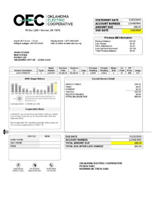 USA OEC electricity utility bill template in Word and PDF format