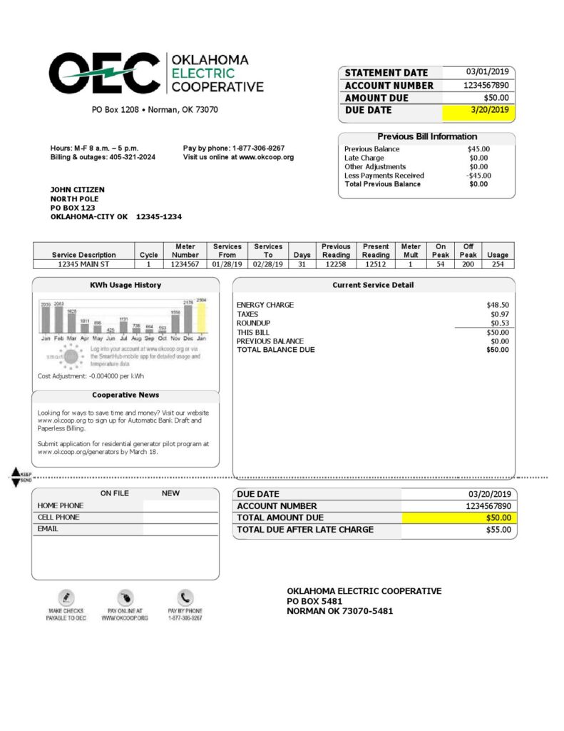 USA OEC electricity utility bill template in Word and PDF format