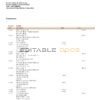 USA One Florida bank statement, Word and PDF template