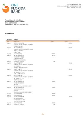 USA One Florida bank statement, Word and PDF template
