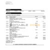 USA Oregon Rogue bank statement, Word and PDF template, 3 pages