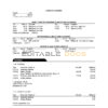 USA Oregon Rogue bank statement, Word and PDF template, 3 pages