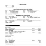 USA Oregon Rogue bank statement, Word and PDF template, 3 pages
