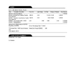 USA Oregon Rogue bank statement, Word and PDF template, 3 pages