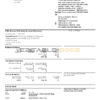 USA PNC bank statement, Word and PDF template, 2 pages