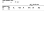USA PNC bank statement, Word and PDF template, 2 pages