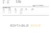 USA PNC bank statement template in Word and PDF format, 2 pages