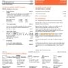 USA New Jersey PSEG electricity utility bill template in Word and PDF format, 2 pages