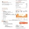 USA New Jersey PSEG electricity utility bill template in Word and PDF format, 2 pages