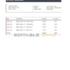 USA Payoneer account statement Excel and PDF template