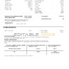 USA Pentagon Federal Credit Union (PenFed) bank statement, Word and PDF template, 3 pages