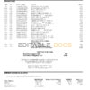 USA Pentagon Federal Credit Union (PenFed) bank statement, Word and PDF template, 3 pages