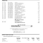 USA Pentagon Federal Credit Union (PenFed) bank statement, Word and PDF template, 3 pages