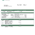 USA Peoples Bank Midwest (PBM) bank statement Word and PDF template, 5 pages