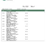 USA Peoples Bank Midwest (PBM) bank statement Word and PDF template, 5 pages