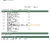 USA Peoples Bank Midwest (PBM) bank statement Word and PDF template, 5 pages