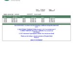 USA Peoples Bank Midwest (PBM) bank statement Word and PDF template, 5 pages