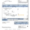 USA Texas San Patricio Electric Corporative utility bill template in Word and PDF (.doc and .pdf) format