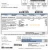 USA South Carolina Santee Electric Cooperative (SEC) proof of address utility bill template in Word and PDF format