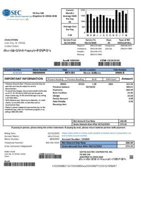 USA South Carolina Santee Electric Cooperative (SEC) proof of address utility bill template in Word and PDF format