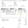 USA San Francisco Xincube utility bill template in Word and PDF format