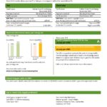 USA ScottishPower utility bill template in Word and PDF format (3 pages)