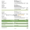 USA ScottishPower utility bill template in Word and PDF format (3 pages)