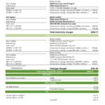 USA ScottishPower utility bill template in Word and PDF format (3 pages)