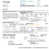 USA Washington Seattle City Light utility bill template in Word and PDF format