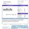 USA South Weber City Utah water utility bill template in Word and PDF format
