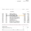 USA St. George bank visa card statement, Word and PDF template, 3 pages