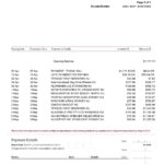 USA St. George bank visa card statement, Word and PDF template, 3 pages