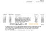 USA St. George bank visa card statement, Word and PDF template, 3 pages