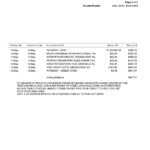 USA St. George bank visa card statement, Word and PDF template, 3 pages
