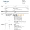 USA SunTrust bank statement, Word and PDF template, 2 pages