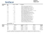 USA SunTrust bank statement, Word and PDF template, 2 pages