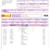 USA Syndicate bank credit card statement, Word and PDF template, 3 pages