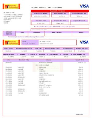 USA Syndicate bank credit card statement, Word and PDF template, 3 pages