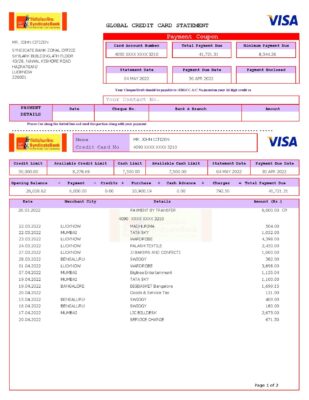USA Syndicate bank credit card statement, Word and PDF template, 3 pages