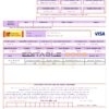 USA Syndicate bank credit card statement, Word and PDF template, 3 pages