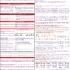 USA Syndicate bank credit card statement, Word and PDF template, 3 pages